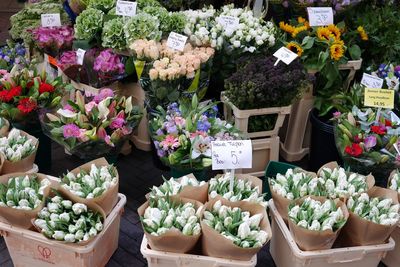 Various flowers for sale at market stall