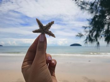 Close-up of hand holding starfish at beach