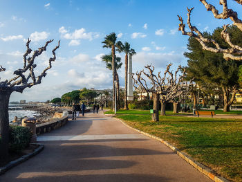 Street amidst trees and plants against sky