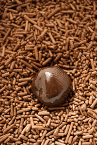 Close-up of brazilian chocolate truffle brigadeiro 