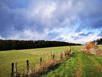 Scenic view of agricultural field against sky