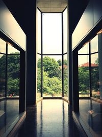 Empty park seen through home window
