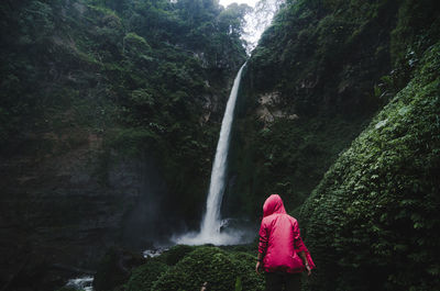 Rear view of woman standing against waterfall in forest