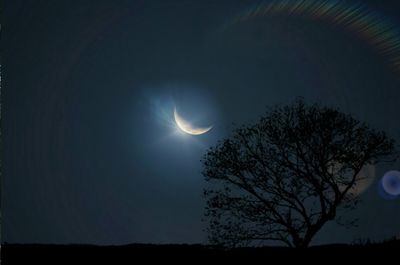 Low angle view of moon in sky