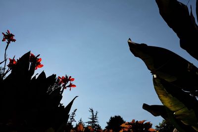 Low angle view of silhouette trees against clear sky