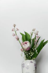 Close-up of flowers over white background