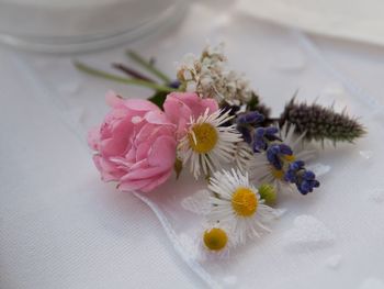 Close-up of pink flowers