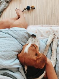 Low section of person with dog lying on bed