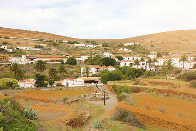 Cactus garden in the small town of betancuria, fuerteventura, canary islands