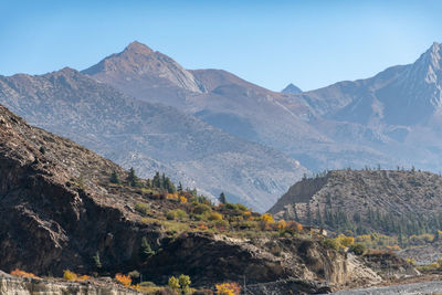 Scenic view of landscape and mountains against clear sky