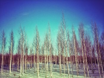 Scenic view of grassy field against blue sky