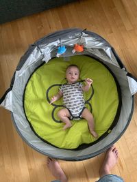 High angle view of cute girl with dog