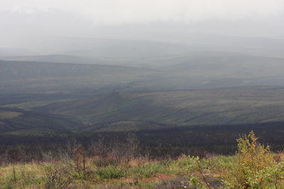 Scenic view of landscape against sky