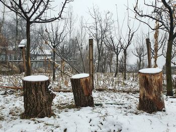 Wooden posts on snow covered field
