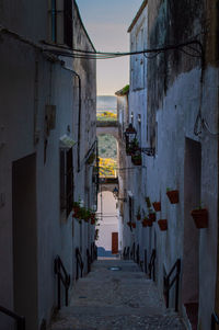 Empty narrow street in the morning with a view of countryside 