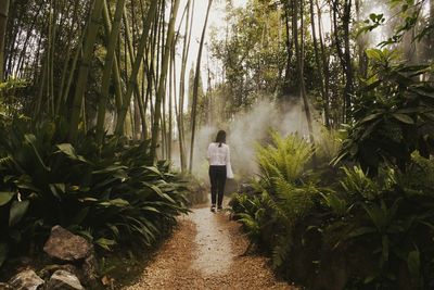 Rear view of woman standing amidst plants