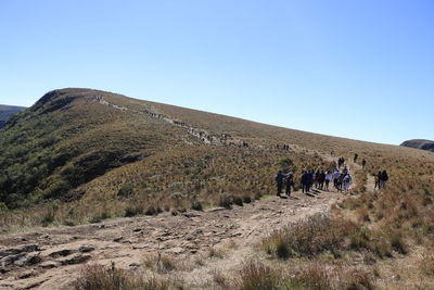 People walking on desert against clear blue sky