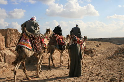 Panoramic view of people riding horses on desert