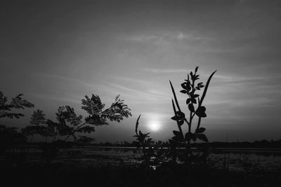 Scenic view of field against cloudy sky