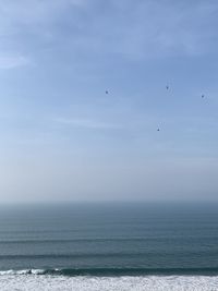 Birds flying over sea against sky