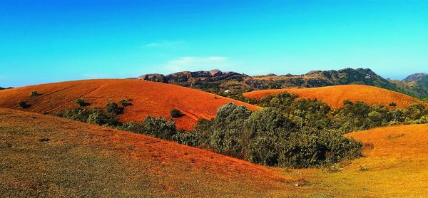 Scenic view of landscape against clear blue sky