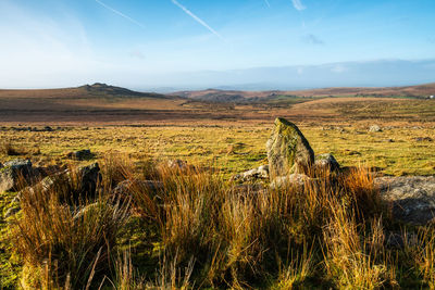 Scenic view of field against sky