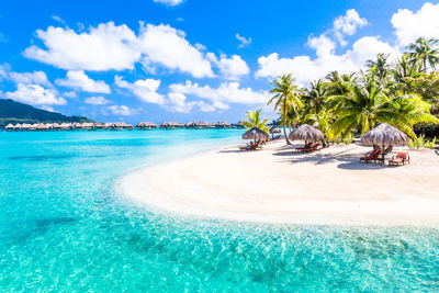 Scenic view of beach against blue sky