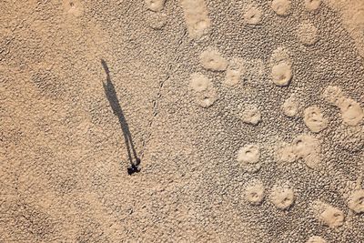 High angle view of footprints on wet sand