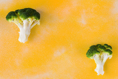 Close-up of serving food against orange background