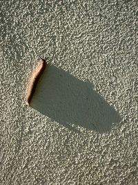 High angle view of shadow on sand