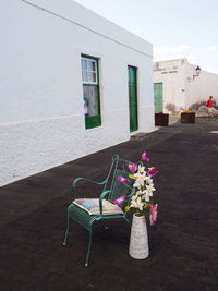 Potted plant on table by street against building