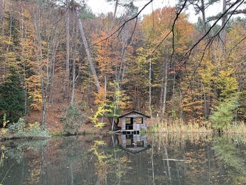 House amidst trees and plants in lake