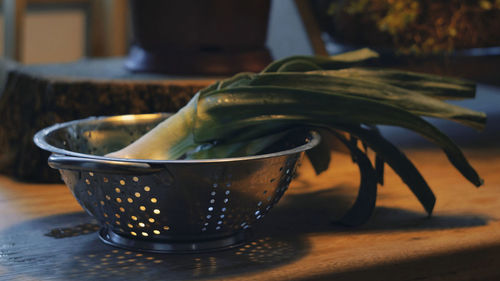 Close-up of potted plant