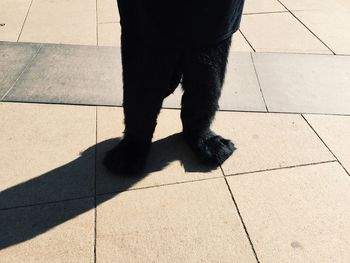 Low section of man standing on tiled floor