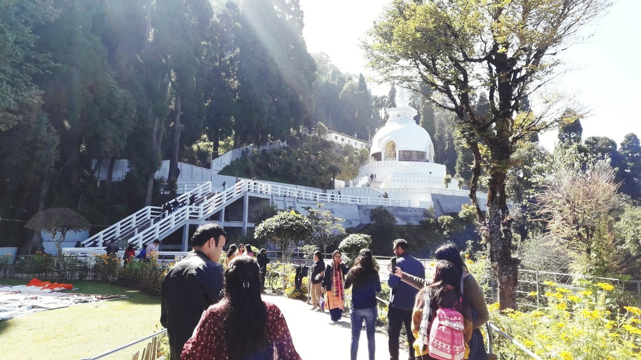 group of people, tree, real people, women, crowd, nature, men, adult, large group of people, plant, day, lifestyles, leisure activity, architecture, group, sunlight, built structure, outdoors