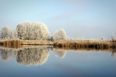 Scenic view of lake