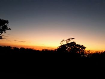 Silhouette trees against clear sky during sunset