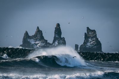 Birds flying over sea against sky