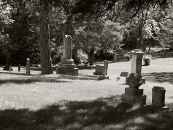 Tombstones in cemetery