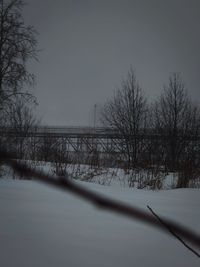 Bare trees on snow covered land against sky