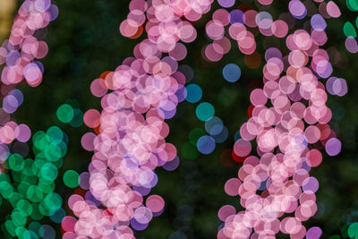 Defocused image of illuminated christmas lights