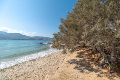 Scenic view of beach against blue sky