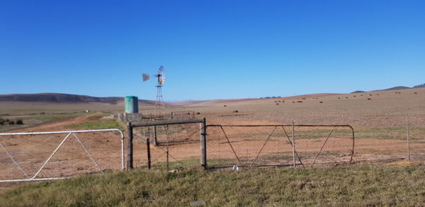 Scenic view of field against clear blue sky