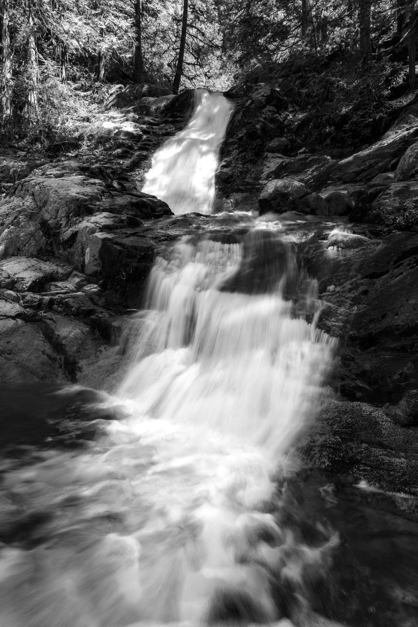 VIEW OF WATERFALL IN FOREST