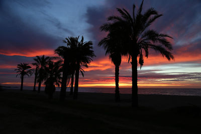 Silhouette palm trees at beach against sky during sunset