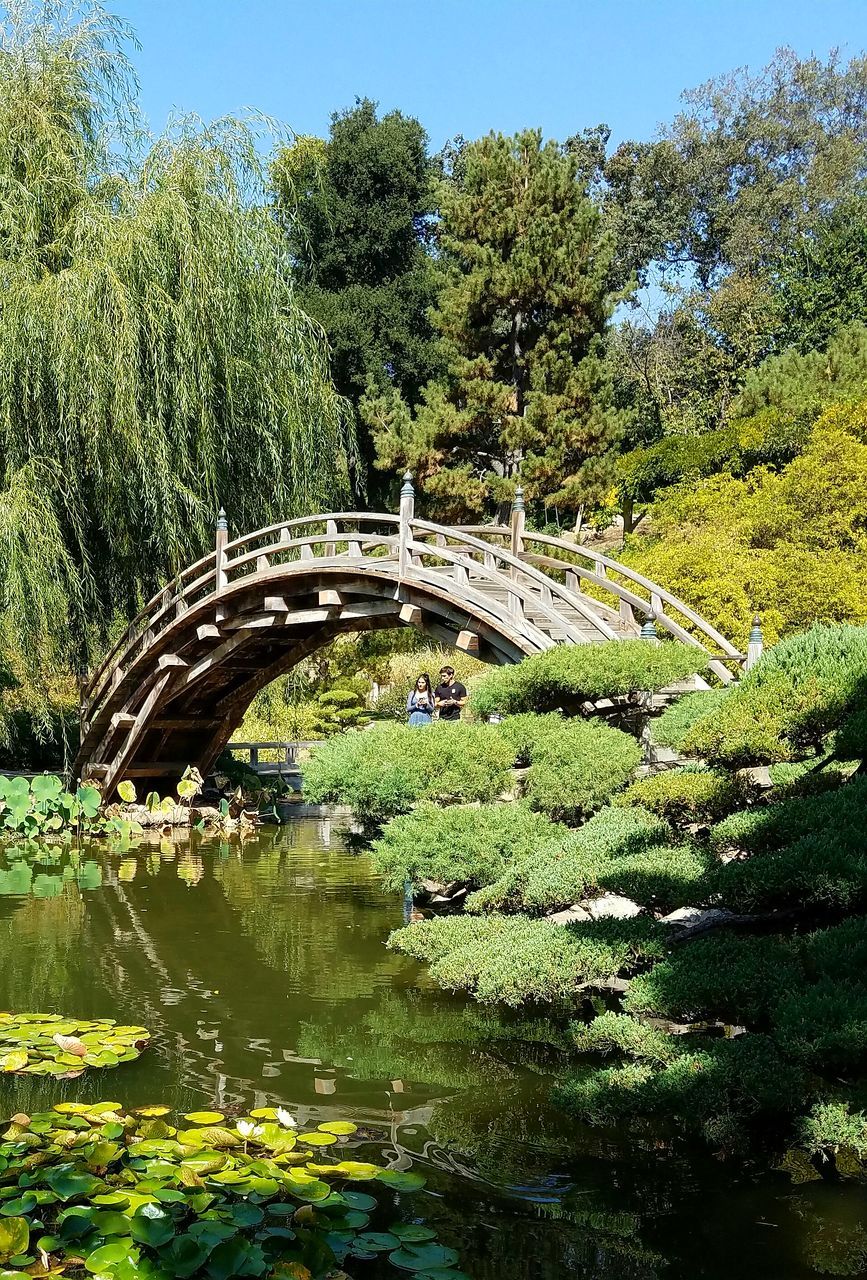 VIEW OF ARCH BRIDGE OVER RIVER IN FOREST