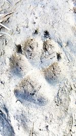 High angle view of footprints on sand at beach