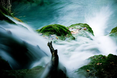 Close-up of waterfall in forest
