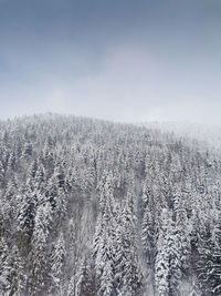 Scenic view of snow covered land against sky