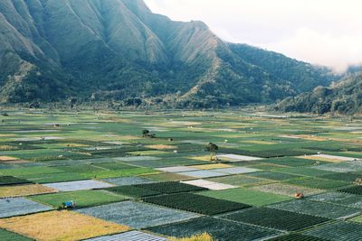 View of gricultural field - selong hill, sembalun, rinjani, lombok, indonesia